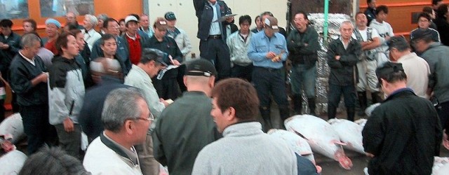 800px-Auction_Tsukiji_fishmarket
